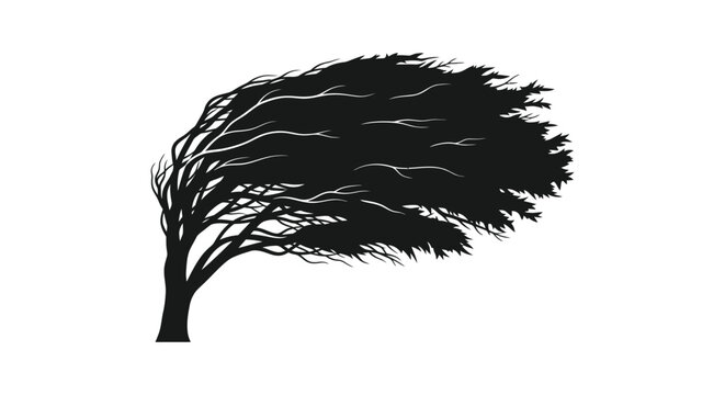 A dramatic depiction of a windswept tree with flowing branches presented as a black silhouette on transparent background high quality professional