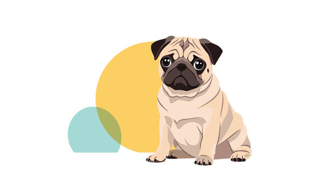 Charming illustration of a tan pug dog sitting patiently with a sad expression against a background of colored circles.