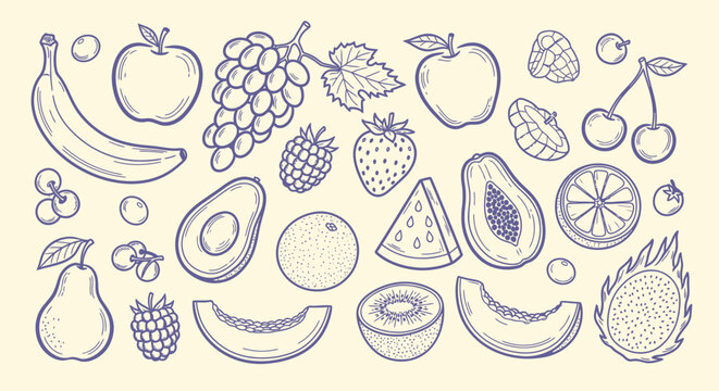 A delightful collection of hand-drawn fruits, showcasing a variety of shapes, sizes, and textures in a charming sketch style.