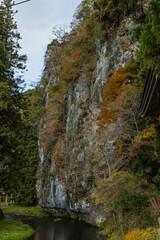 日本　広島県庄原市東城町にある帝釈峡　上帝釈の帝釈川沿いの紅葉した木々