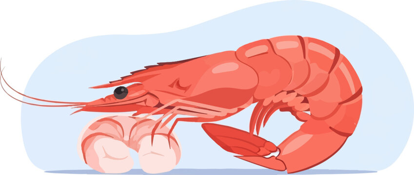 Two vibrant red crustaceans with segmented bodies and delicate antennae