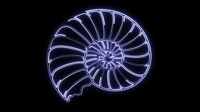 Spiral shape with glowing blue neon light path effect on plain black background