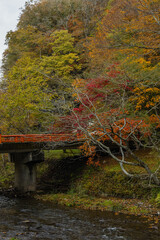 日本　広島県庄原市東城町にある帝釈峡　上帝釈の帝釈川沿いの紅葉した木々