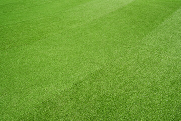 Green grass background. Green turf slope