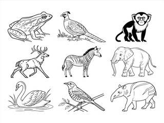 coloring page line art the animal and flower black vector bundle
