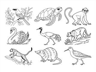 coloring page line art the animal and flower black vector bundle