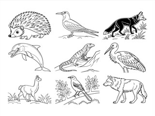 coloring page line art the animal and flower black vector bundle