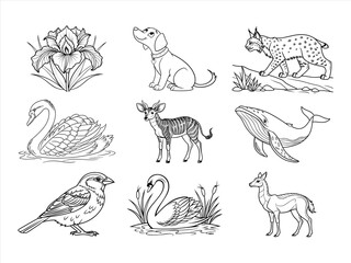coloring page line art the animal and flower black vector bundle