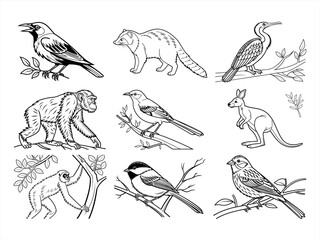 coloring page line art the animal and flower black vector bundle