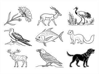 coloring page line art the animal and flower black vector bundle