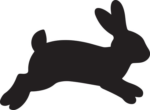 Springender Hase jumping bunny