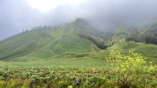 The beauty of the hill in the Bromo mountain area, Pasuruan, East Java, Indonesia