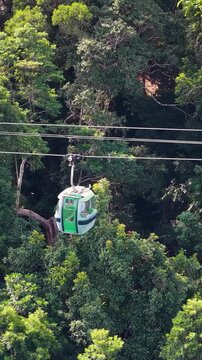 Vertical View of Green Cable Car Gliding Over Rainforest Canopy