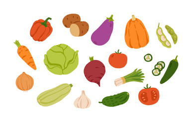 Collection of various vegetables isolated on white background. Healthy vegetarian food. Bundle of organic natural crops, salads, greens and herbs. Colorful vector illustration in flat cartoon style