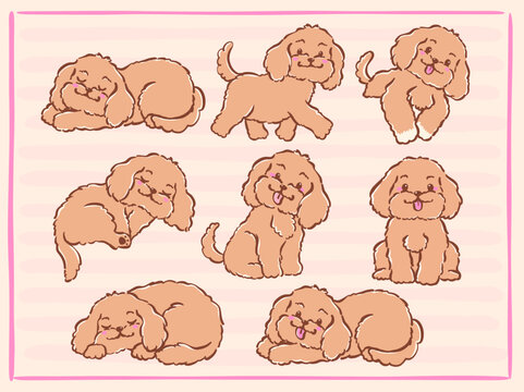 Cute Brown Cavoodle Character Collection Whimsical Hand Drawn Doodle set