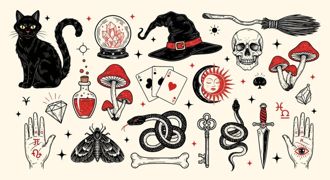 A collection of mystical and occult symbols including a black cat, witch hat, crystal ball, mushrooms, snakes, and tarot cards.