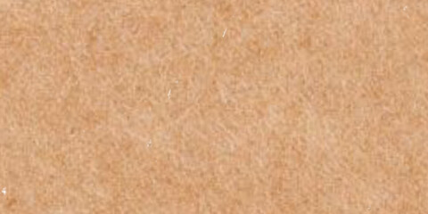 Fototapeta premium Close-up of a Textured Beige Background 
