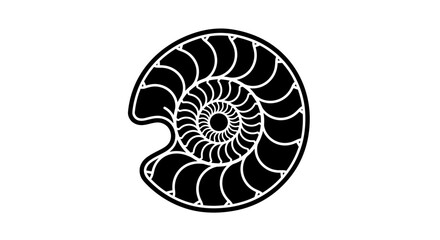 Obraz premium Ancient spiral ammonite fossil and brown snail shell macro illustration isolated on white background