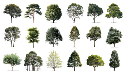 Fototapeta premium Collection of diverse tree silhouettes, various shapes and foliage (1)