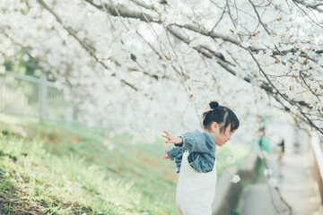 桜の下の子ども