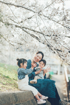 桜の下の母親と娘たち