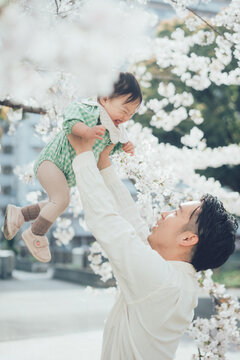 桜の木下で赤ちゃんを高い高いするお父さん