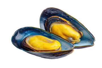 Two open mussels, vibrant blue-black shells, yellow meat inside