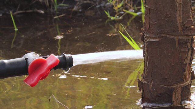 here you can show the drip irrigation water are flowing on a tree in fastway. Drip Irrigation System in Modern Agriculture Field Watering Soil and Crops in mango tree in gir forest. in india