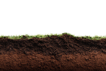 Close-up of a layered earth texture.  A dark brown soil layer sits atop a slightly lighter brown layer, with a thin strip of green vegetation at the top