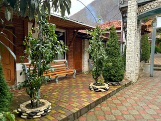 Modern landscape design of a home veranda with climbing plants and thuja trees providing privacy. Ideal for themes related to outdoor living, gardening, and home improvement.