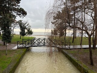 Wooden footbridge over a canal with weeping willow in Sukhumi park.