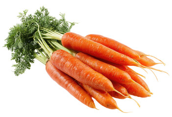 Fresh bunch of carrots with vibrant orange color and green tops