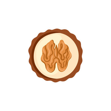 Round chocolate candy with walnut and white cream. Vector illustration isolated on white background. 