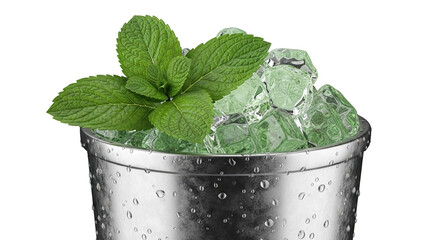 Mint and Ice in a Metal Bucket