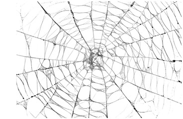 Obraz premium Abstract representation of a digital glitch effect showing distorted lines and static noise disrupting a dark solid field on transparent background