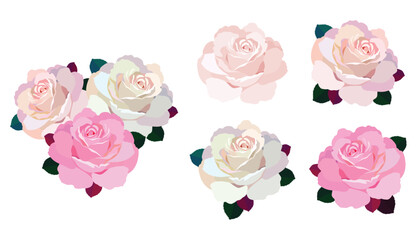 Rose flowers. Vector illustration. Roses in pink color, icons for design. Flower with petals. Love, romance flowers. Vector icons. Love symbol. For gifts, Valentine's Day, birthday, cards, decoration