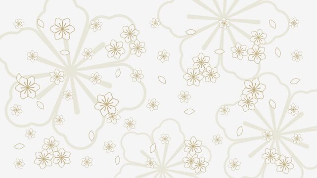 4K video animation symmetric flower pattern ornamental decorative of Japanese with white background, repeated motif video, animated footage