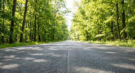 Fototapeta premium Empty road perspective leading forward surrounded by green trees, symbol of journey and future, no people, natural daylight, realistic style, commercial stock photo