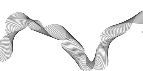 A decorative black and white satin ribbon is tied into a gift bow on a white background as a celebration symbol for a Christmas or Valentine holiday design