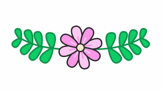 Symmetrical floral divider with pink daisy and green leaves on a transparent background. Decorative botanical with pink blossom and green foliage accent for wedding invitation element concept.