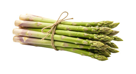 Fresh Green Asparagus Bunch Tied with Twine on Black Background