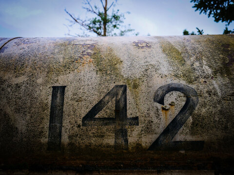 Bus 142, Into the wild Exploring overgrown routes and forgotten journeys