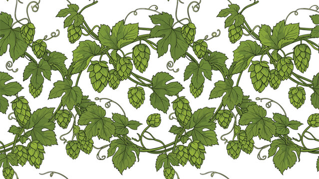 Seamless horizontal border of intertwined green hop vines with leaves and cones, hand-drawn in a vintage style for beer branding.