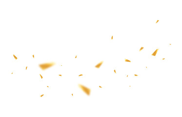 Luxury Gold Confetti Scatter