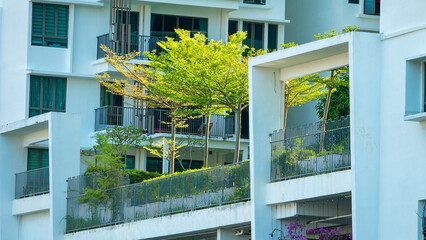 Flower beds, groves on balcony of multi-storey residential building as compensation for isolation of citizens from nature and decoration, balcony landscaping. Georgetown © max5128