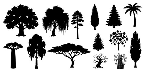 Black tree silhouettes vector set featuring oak, pine, palm, baobab, willow, and spruce trees isolated © Vladislav