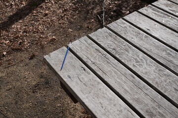 Fototapeta premium A wooden bench with a blue pencil on it. The bench is in a wooded area