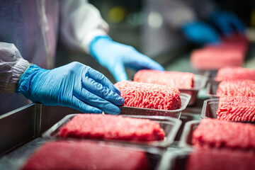 Hands in rubber gloves prepare and pack ground meat in plastic boxes at a food processing facility, showing the process of meat product production