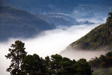 Fototapeta premium misty morning in the mountains