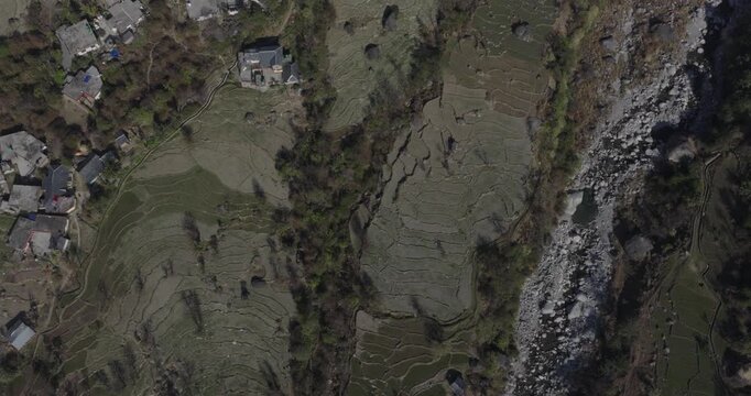 beautiful texture farm plots in dharamshala himachal captured by drone